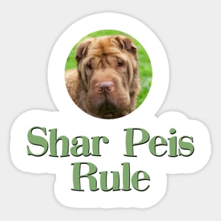 Shar Peis Rule! Sticker